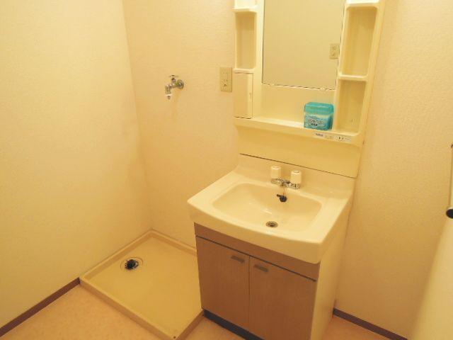 Washroom. With separate wash basin.