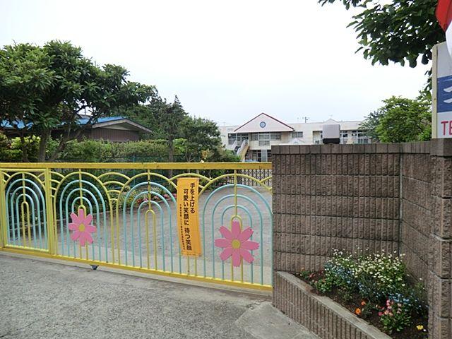 Other. Cosmos kindergarten