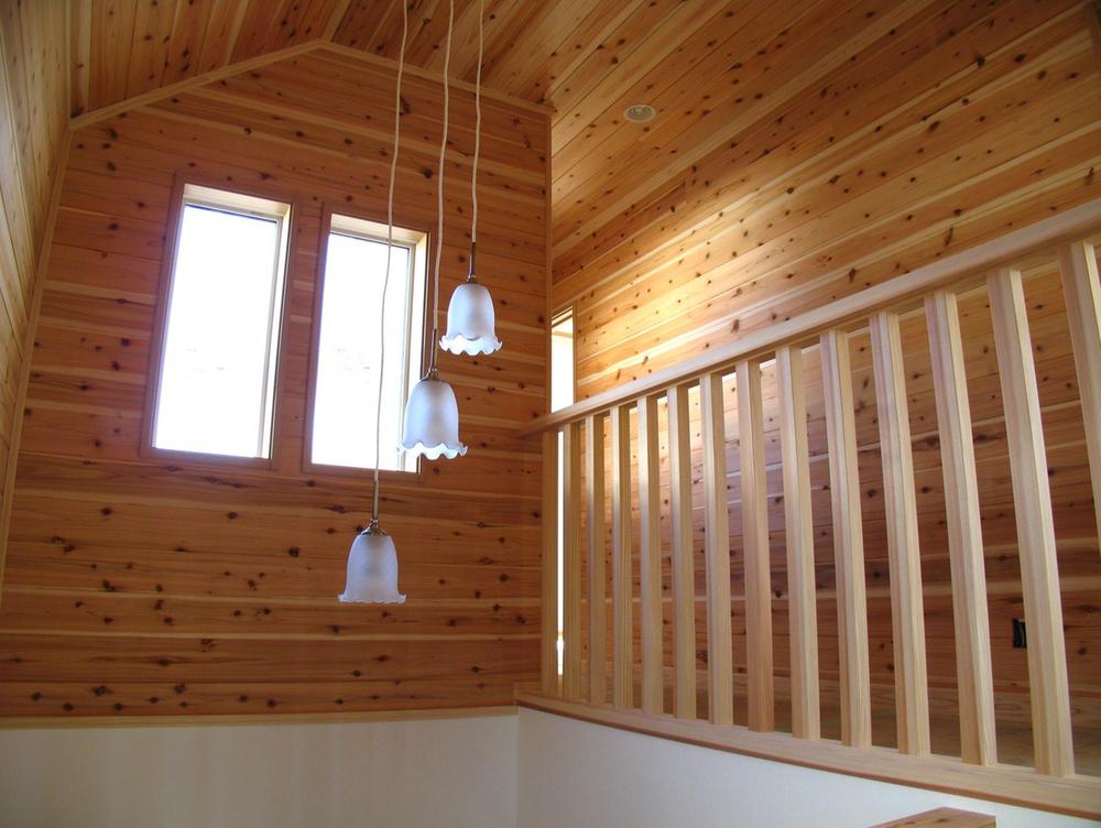 Other introspection. Plate paste of atrium