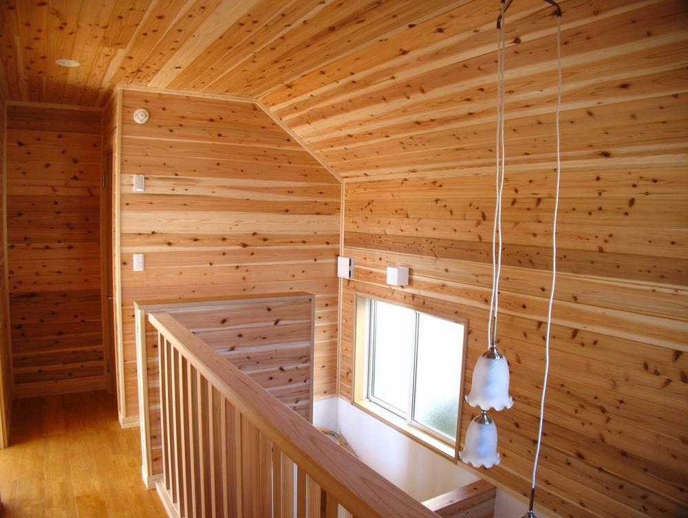 Other introspection. 2 Kairoka