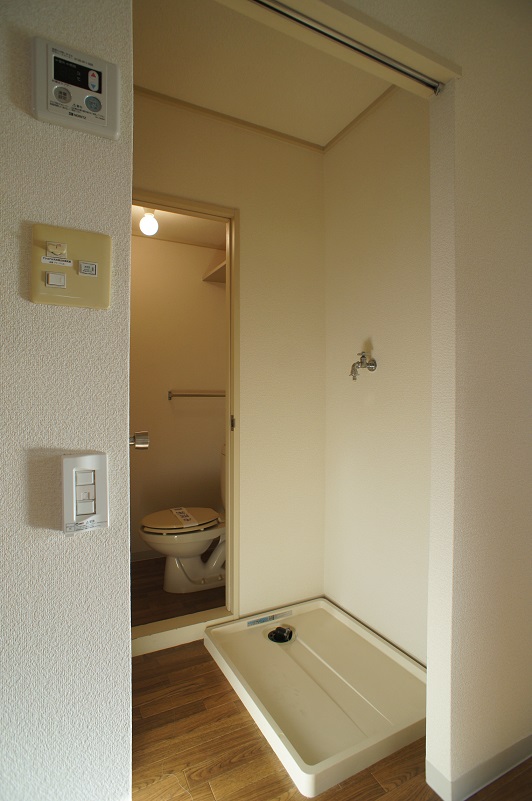 Other room space. Toilet in front is the Laundry Area & dressing room