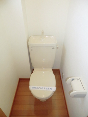 Toilet. Western-style toilet