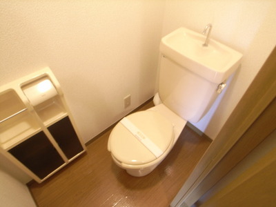 Toilet. Toilet is also beautiful to cleaning being completed! 