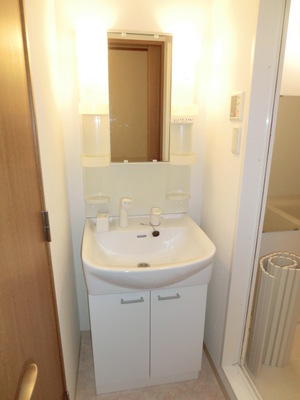 Washroom. Washbasin shampoo dresser type