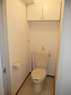 Toilet. It is a western style of your toilet