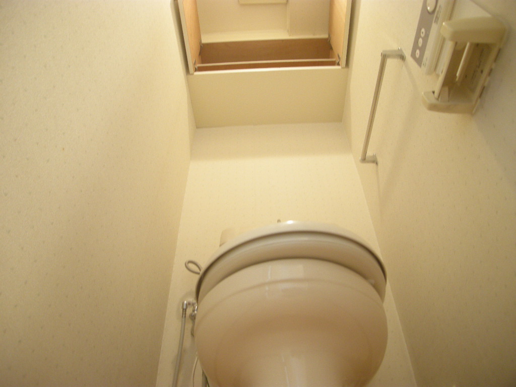 Toilet. There is housed in the toilet top