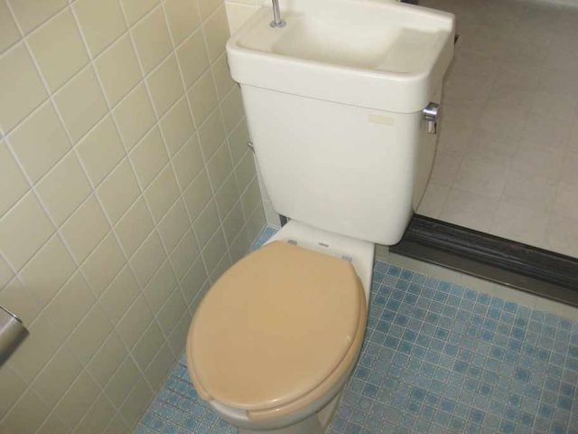 Toilet. Western-style toilet