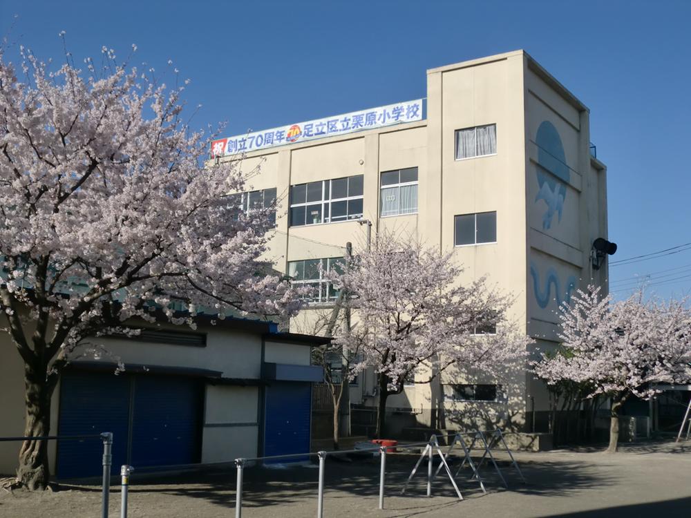 Primary school. 1030m to Funabashi City Small Kurihara Elementary School
