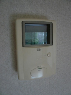 Security. TV monitor with intercom