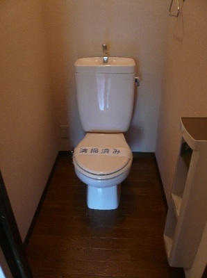 Toilet. Clean toilet