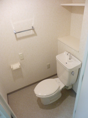 Toilet. It is with shelf.