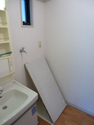 Other Equipment. Wash basin next to it becomes the washing machine Storage. (Renovation is in)