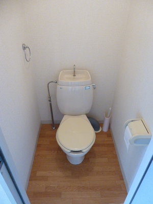 Toilet. It comes with a towel rack ☆ The upper, Space for little things put