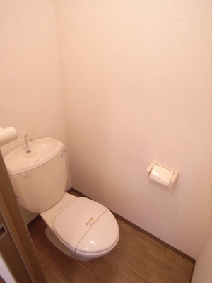 Toilet. Style toilet with cleanliness ☆