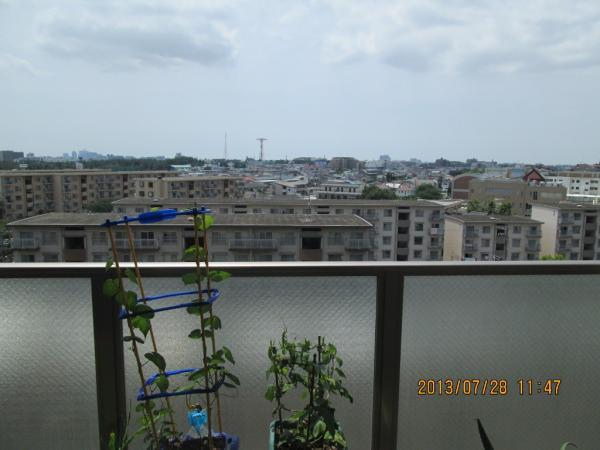 View photos from the dwelling unit