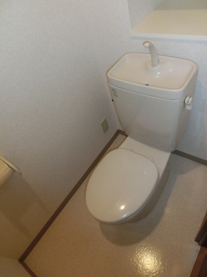 Toilet. Western-style toilet