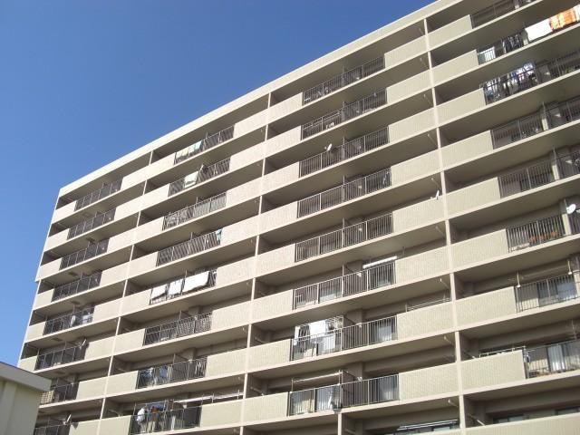 Local appearance photo. Local (11 May 2012) shooting