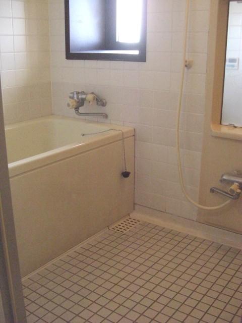 Bathroom. Indoor (11 May 2012) shooting