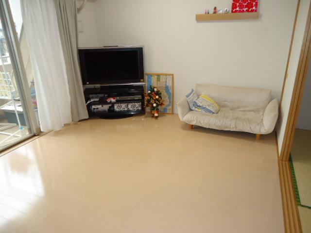 Living. Room (August 2013) Shooting