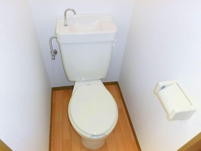 Other. Toilet with cleanliness