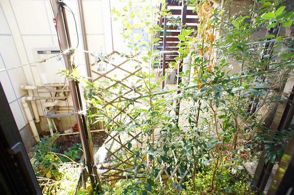 Balcony. Even gardening with a terrace