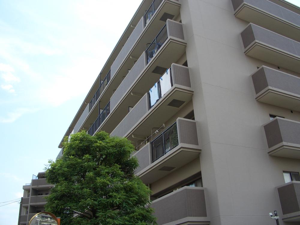 Local appearance photo. Local (10 May 2013) Shooting