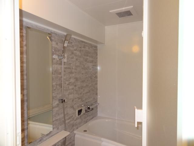 Bathroom. Indoor (10 May 2013) Shooting