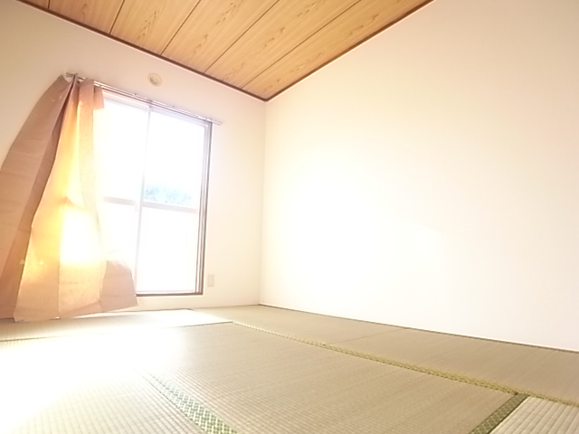 Other room space. It calm and there is a Japanese-style room