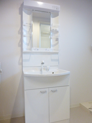 Washroom. Shampoo dresser