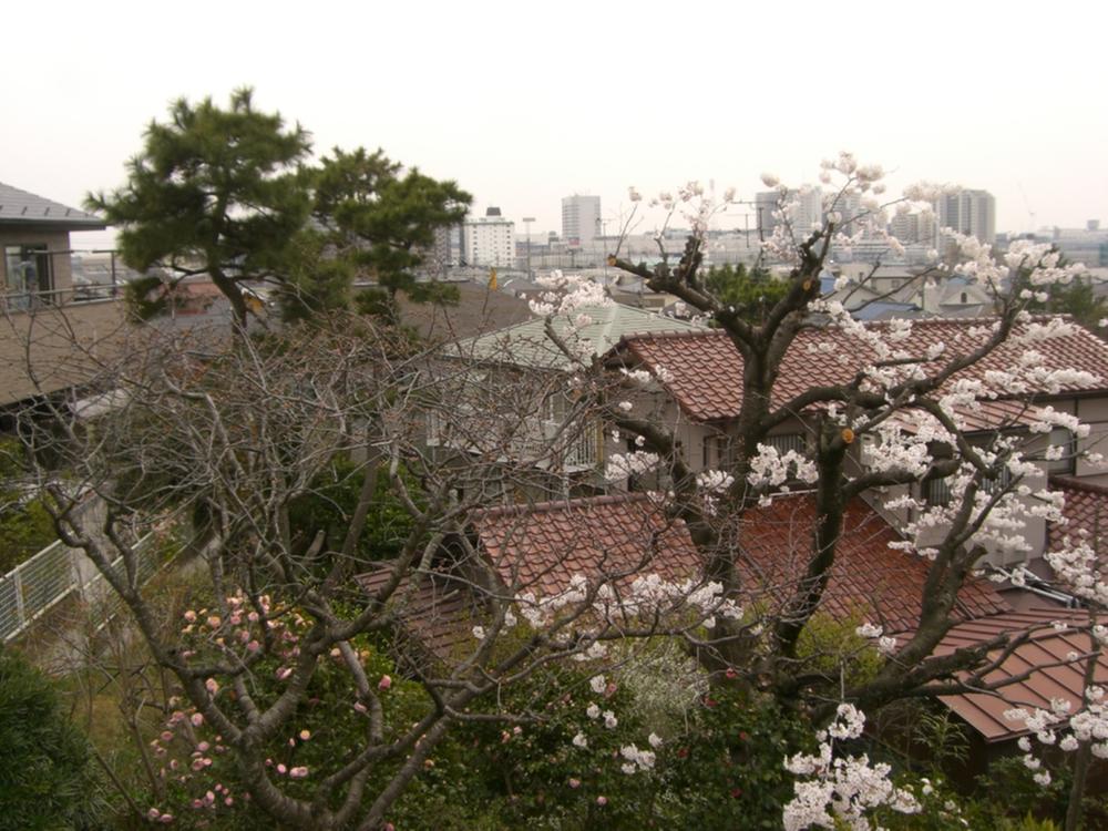 View photos from the dwelling unit. The view from the balcony