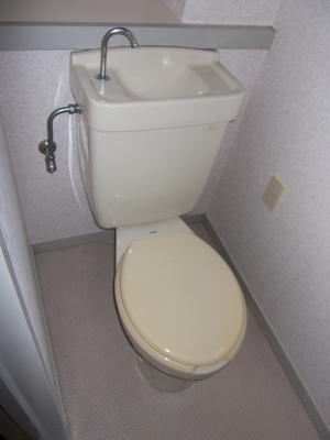 Toilet. It is a Western-style toilet