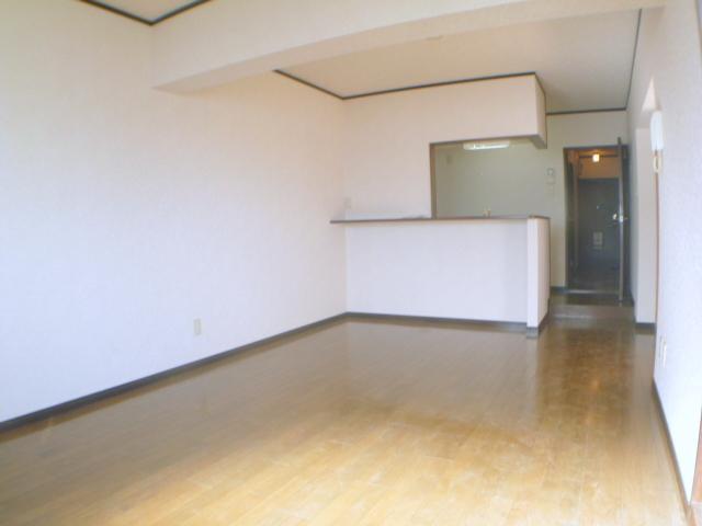 Living and room. Spacious LDK