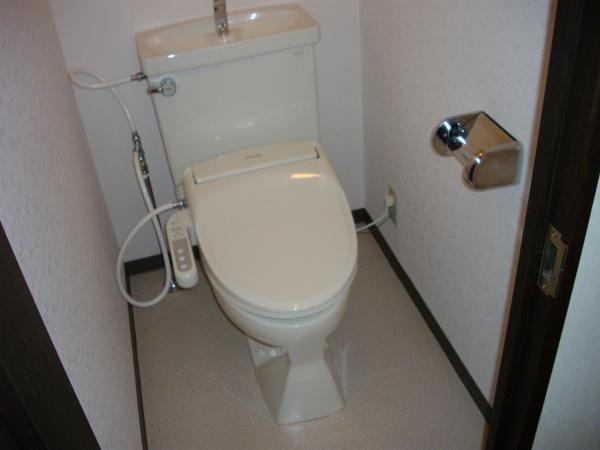 Toilet