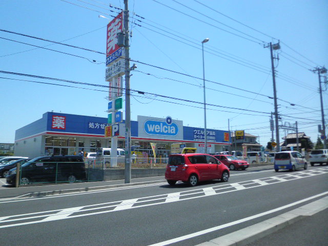 Dorakkusutoa. Uerushia Funabashi Maehara Ekimae 311m to (drugstore)