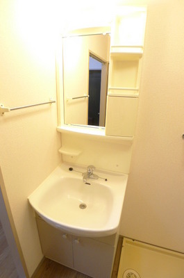 Washroom. Bathroom Vanity