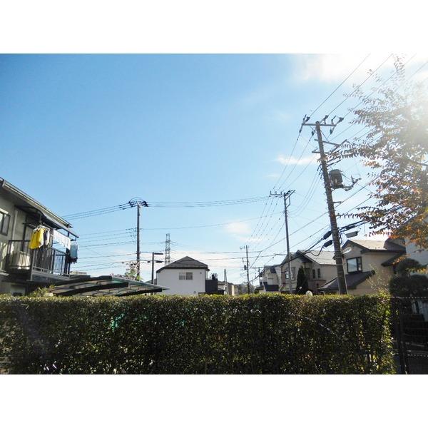 Other introspection. View