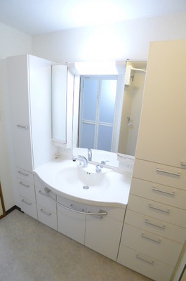 Washroom. Bathroom vanity