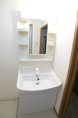 Washroom. Bathroom vanity