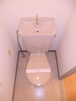 Toilet. Toilet