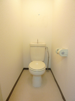 Toilet. Toilet