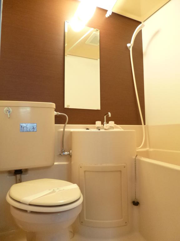 Toilet. Fashionable space after renovation