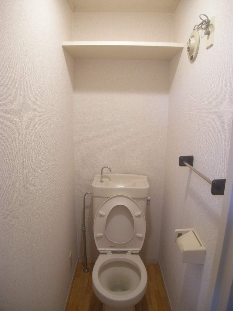 Toilet. There is a shelf on the toilet top