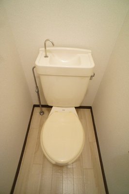 Toilet. Toilet