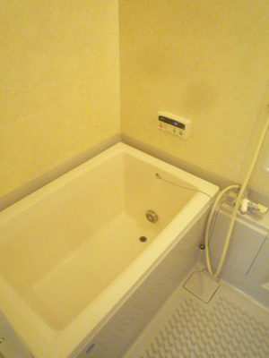 Bath. It is equipped with reheating