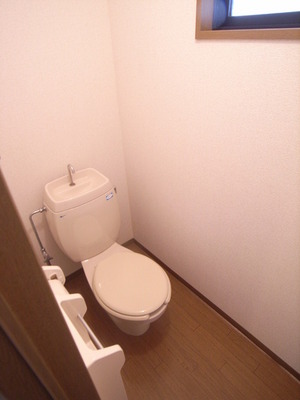 Toilet. It is bright because it is with window ~