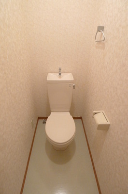 Toilet. Toilet