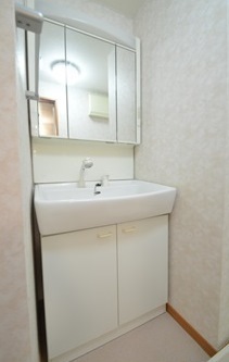 Washroom. Shampoo dresser