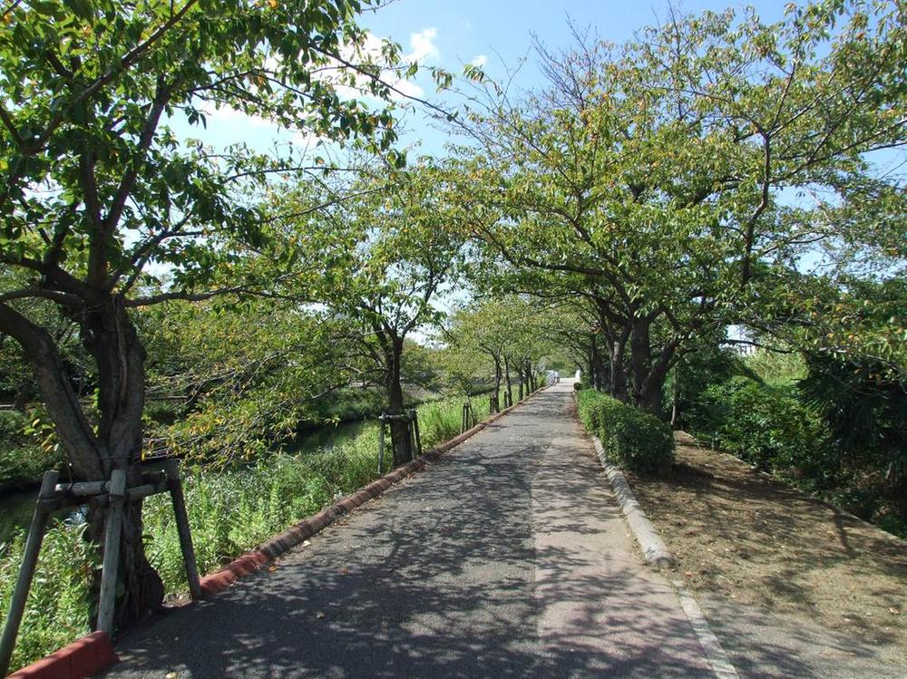 Streets around. Crowded with 30m walk or jogger to Ebi Ebi. Sakura is also famous as a beautiful color cherry-blossom viewing spot in spring