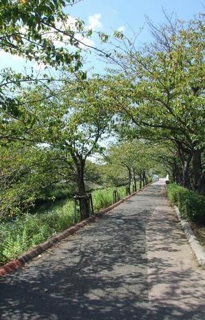 Perfect for walking paths (jogging load) are in place to Ebi walks and jogging along the River of a 1-minute walk (30m). Also known as the beautiful color cherry-blossom viewing spot cherry blossoms in the spring