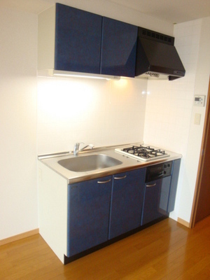 Kitchen. System Gasukitchin (grill equipped)